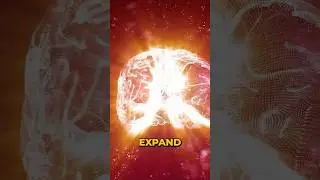 What Does Your Reality Mean?
