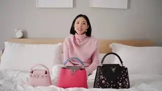 LOUIS VUITTON CAPUCINES review + size comparison