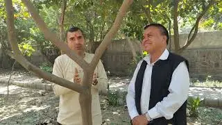 रोहिणी सघन वन, राम मोहन जी, Jan Kalyan Sewa Foundation