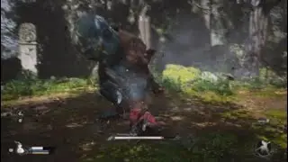 Still trying to beat Wandering Wight