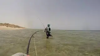 Nubian Flats titan triggerfish on fly