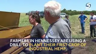 Pilot program allows Oklahoma farmers to grow industrial hemp