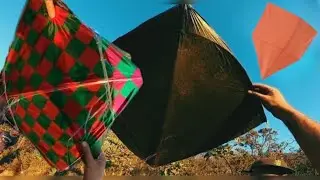 ENCONTREI O NINHO DOS PAPAGAIOS NA FLORESTA NOTURNA 