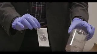 At Your Service: Crime Lab, Property and Evidence Room