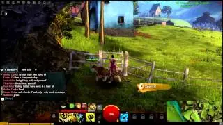The Best Part of the GW2 BWE