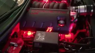 Custom LED Service C6 FUEL RAIL COVER LED KIT