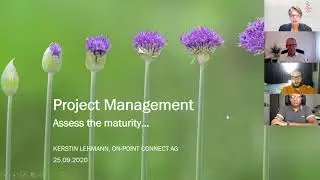 Project Management and how to assess its maturity