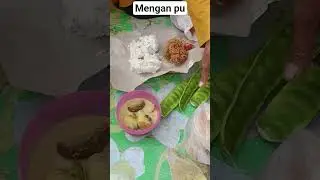 sesamin di Aris laut#Tanjung Setia#Krui#Lampung