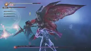 NINJA GAIDEN 2 BLACK TAG MISSION MN03