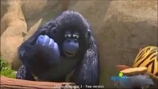 [REUPLOAD] Batricia and Miguel Crying Csupo V10