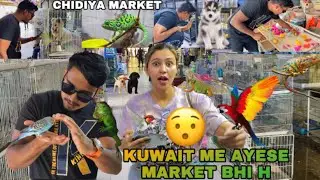 Kuwait Ka Ayesa Market H Jaha Har Animals & Birds Milte H || Hidden Market In Kuwait