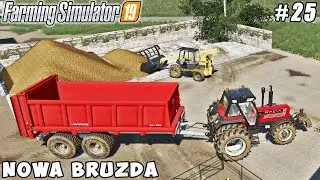 Spreading manure, plowing, harvesting wheat | Nowa Bruzda | Farming simulator 19 | Timelapse #25
