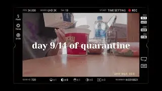 nyu quarantine vlog | meals, reading, boredom...