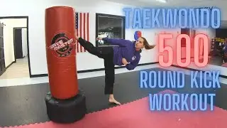 Taekwondo 500 Round Kick Workout