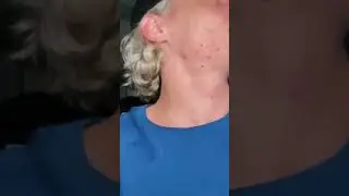 Парадевич про яйца #хазяева
