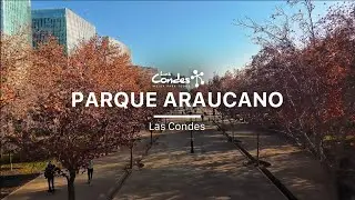 Parque Araucano | Las Condes