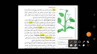 النباتات مغطاة البذور (النباتات الزهرية)-الساق عاشر أحياء