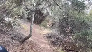 MTB Del Mar Mesa Preserve Nov 2020