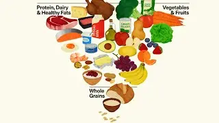 Understanding the newly released dietary guidelines