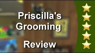 Priscilla's Grooming San Diego's #1 Dog Groomer