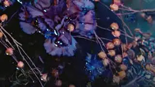 Rebecca Vasmant - Blessed ft Nadya Albertsson