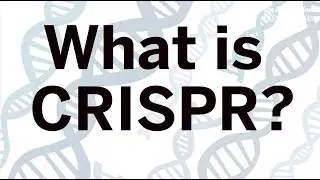 How CRISPR works