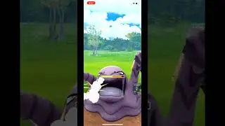 Don't Sleep on SEVIPER in Single-Type Cup 💀 | Pokemon Go |