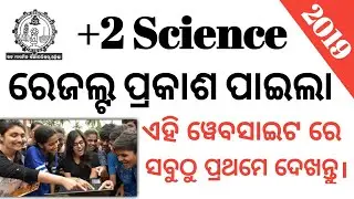 +2  science results 2019 || chse +2 results 2019 Odisha || +2 results odisha