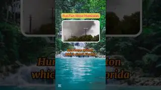 The Destruction of Hurricane Milton: Florida&rsquo;s $50 Billion Nightmare#HurricaneMilton#FloridaHurrican