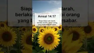 Bijaksana dan bersabar #renunganhariankristen #kristenmotivasi #foryou #foryoupage #kristen