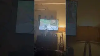 Adorable Kitten Shows Off Impressive Hunting Skills