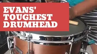 QUICK TEST - EVANS Coated Hybrid Snare Drum Head