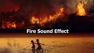 Fire Sound Effect - No Copyright Fire Sound Effect | Forest Fire Sound Effect | Free Sound Effect