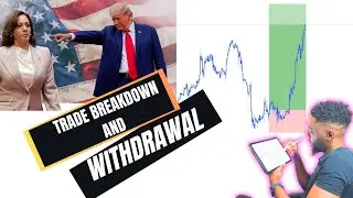 Trading the US Elections: Here's How Much I Made