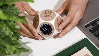 Introducing the Mindsight Wellness Tracker