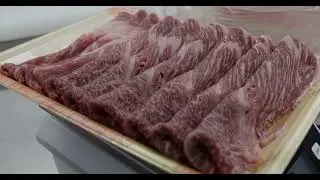 Our Journey to Japan for Wagyu | Going Beyond for Quality