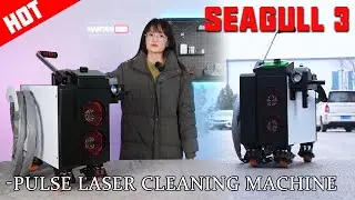 HANTENCNC | SEAGULL3&trade; 500W Air-cooled Handheld Laser Rust Removal