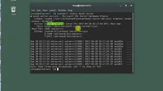Connect to SQL Server on Linux with SSMS