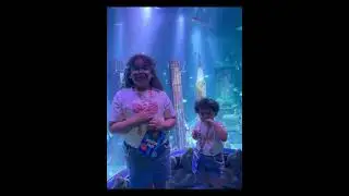 A Fun Family Day at the Aquarium & LEGOLAND | American Dream NJ Vlog 🐠🧱
