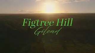 New Gilead Homes Selling Out - Here's Why