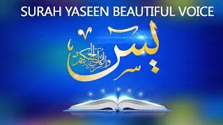 surah Rahman Surat Yaseen with beautiful voice with beautiful scenery taskeen tv short videos