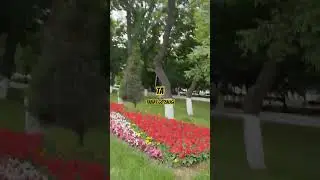#tabiat
