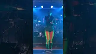 Ad Infinitum (Animals) Kortrijk 2025