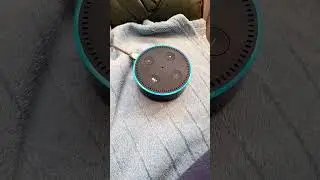 How to Play the Radio on Alexa Echo Dot