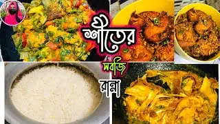 শীতের সবজি রান্না রেসিপি | নীলার রান্না-বান্না ঘর is live
