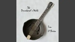 The Drunkard's Walk