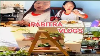IM GOING TO SHARE WHATEVER I EXPIRENCED IN MY YOUTUBE JOURNEY WITH COOKING MY LUNCH #pabitravlogs 