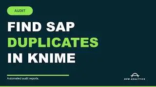 Finding Duplicate SAP Transactions Faster with KNIME and DVW Analytics