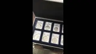 1989 to 2019 Silver Panda Collection All MS69 & MS70 Graded