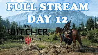 Pattython 2025 - Day 13 - The Witcher 3 - Jan 2